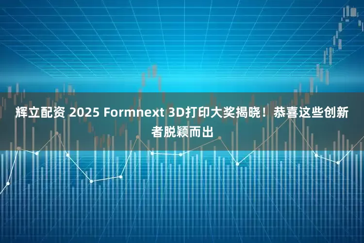 辉立配资 2025 Formnext 3D打印大奖揭晓！恭喜这些创新者脱颖而出
