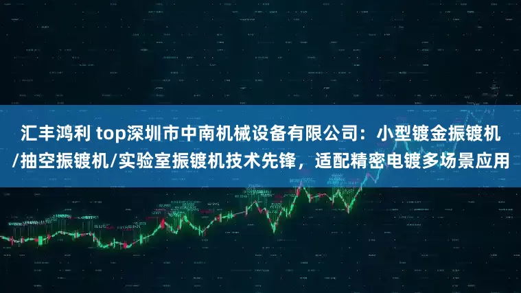 汇丰鸿利 top深圳市中南机械设备有限公司：小型镀金振镀机/抽空振镀机/实验室振镀机技术先锋，适配精密电镀多场景应用